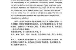 詹龙翻译英文怎么读