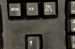 摄像头翻译英文软件