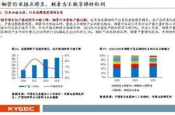 储能隐形冠军