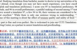 翻译项目的实施