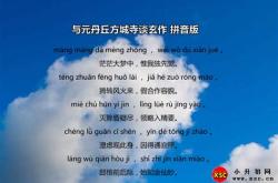 丛集意思