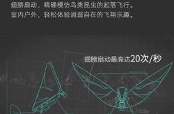 昆虫资源的价值