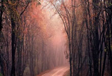 即时新闻,触手可及,探索最快的新闻更新公众号