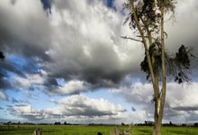 夏季男旅游鞋品牌排名