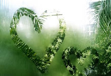 星光璀璨,揭秘成为娱乐圈顶流小姑的秘诀