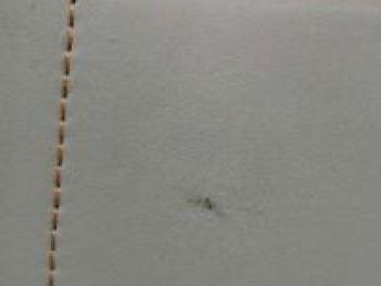 广州高级干洗店