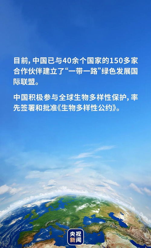 味蕾的盛宴探寻联合国评选的全球十大美食之都中的中国瑰宝