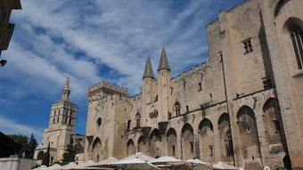 独家揭秘简单易学！让你的厨房瞬间变身为柠檬茶工坊——全方位教你制作完美柠檬茶