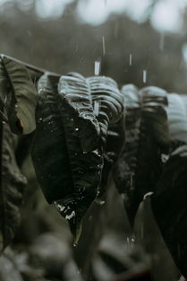 剑来风云起，红衣陈平安执剑开天辟地