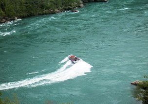 解锁家常美味，深度解析粉条的全方位烹饪攻略