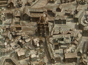 上海街头惊现在逃吗喽，一场城市奇遇与温情救援