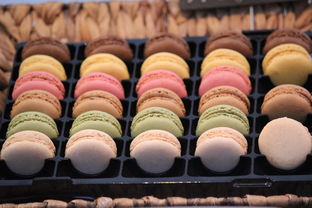 穿越时空的戏曲瑰宝——探访扬剧大师李开敏的艺韵人生