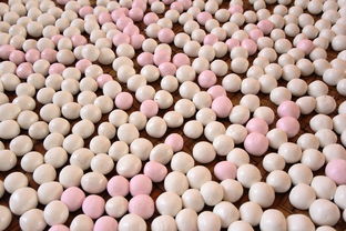 穿越云端的诗画康定，探访木格措，寻找川西高原的心跳