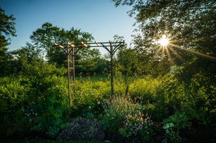 揭秘，坎公骑冠剑中的王牌美女特工，她们如何成为游戏世界的英雄？