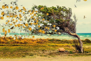 揭秘象山影视城，走进中国影视拍摄地的梦幻世界