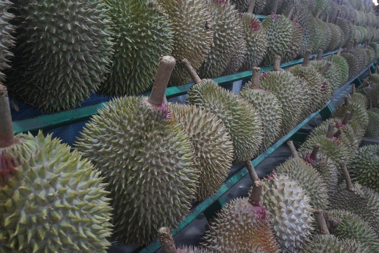 揭秘热带果王，芒果的全球魅力与营养探索