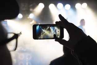 深入探索英雄联盟体验服，玩家的乐园与游戏平衡的试金石