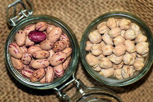 揭秘鹰嘴豆的营养宝藏，健康厨房的秘密武器