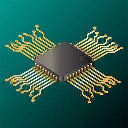 探索恩施富硒产品专卖店，健康生活的秘密