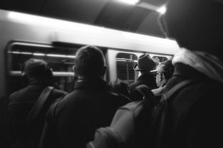 南京地铁隧道内出现野猪 监控曝光，城市与自然的意外邂逅