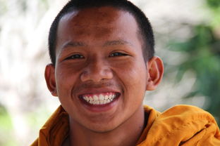 武汉恩施富硒茶，自然馈赠的茶中瑰宝