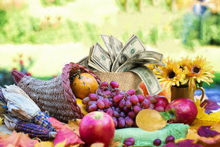 孩子营养餐的全面指南，营养均衡，健康成长的秘密武器