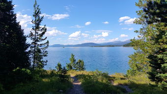 探索大自然的韵律，武夷山青龙大瀑布的壮美与智慧