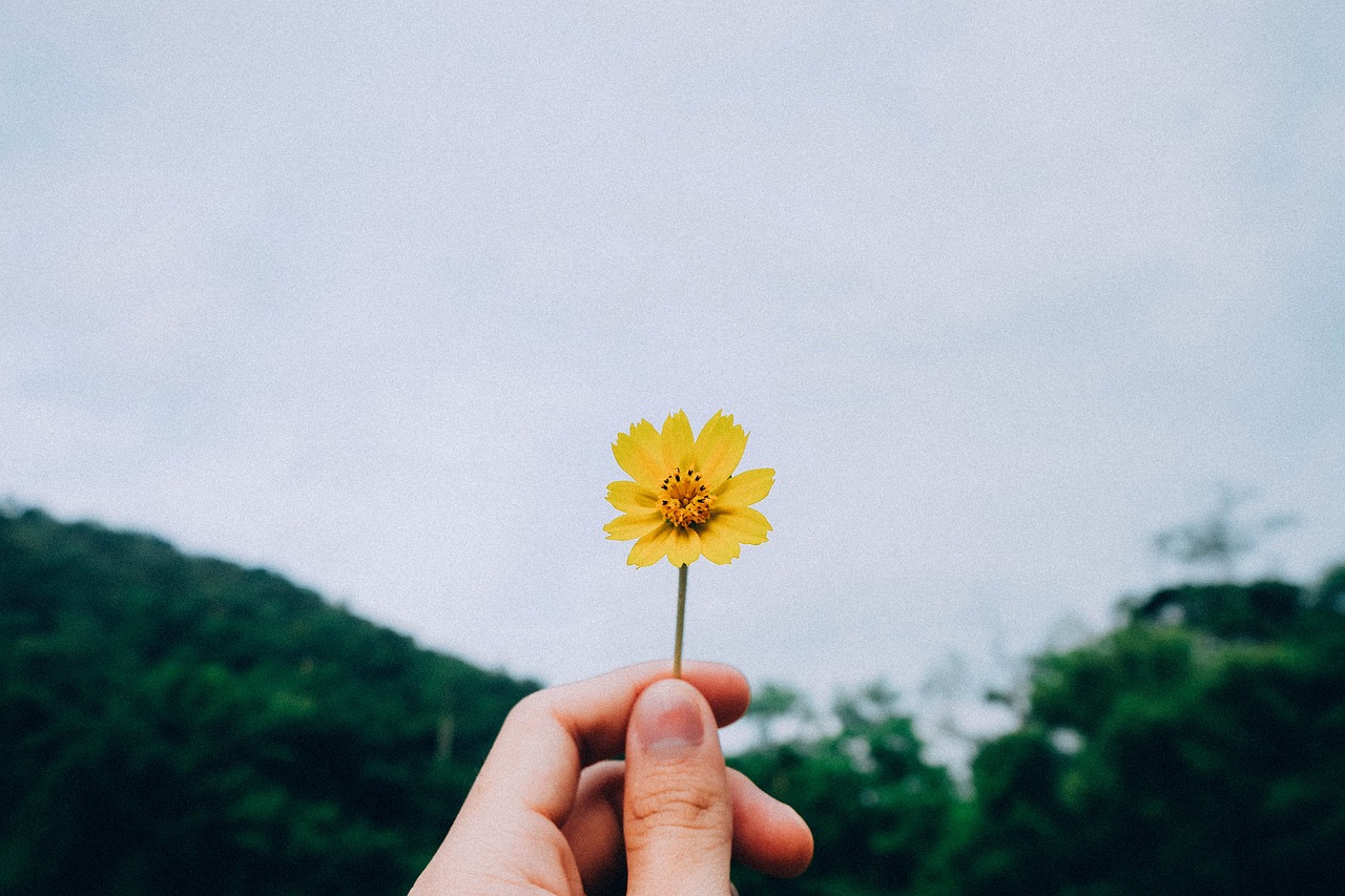 三年禁令背后的深意，为何我们不能在三年内送寒衣