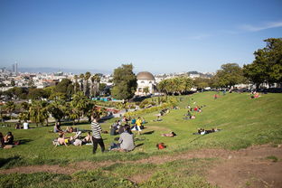 今日头条极速版，赚钱新体验，特色功能全解析