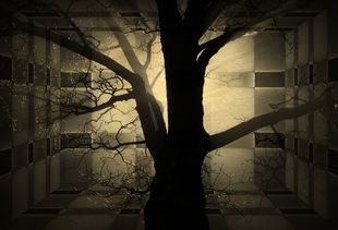 乌克兰稀土迷雾，真相与幻想的交织