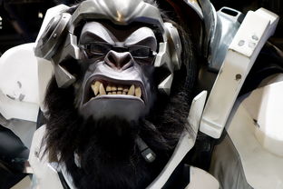 逍遥一勺江湖香—探秘逍遥镇胡辣汤的美味与魅力