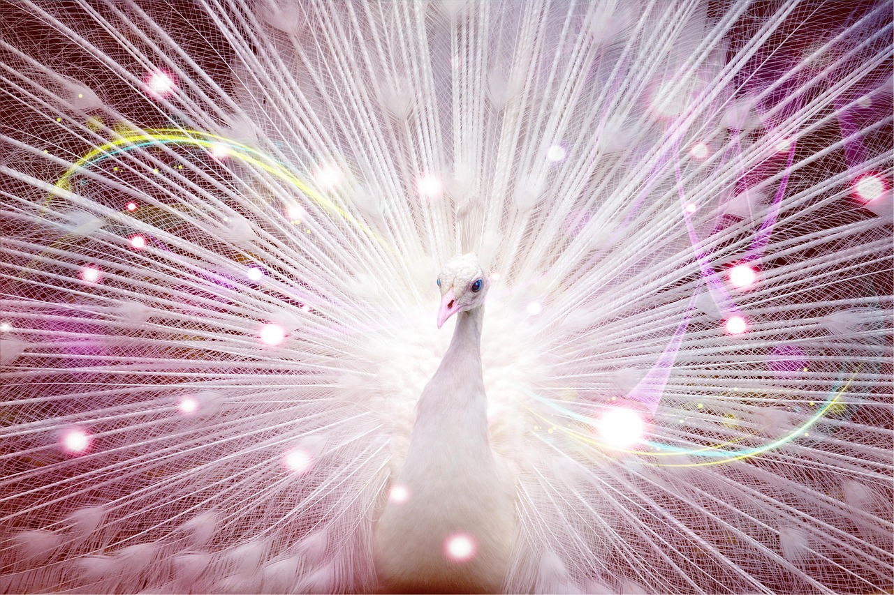 探索神秘的天象，9月29日，你的星座密码解锁指南