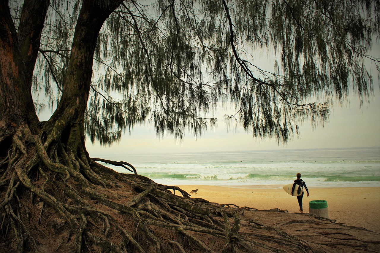 在生活的风浪中航行，理解生活不易的短句子