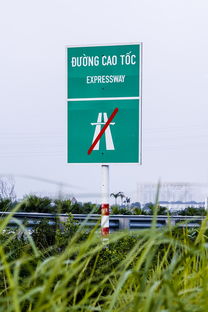 上海今日新闻速递，城市动态与生活点滴