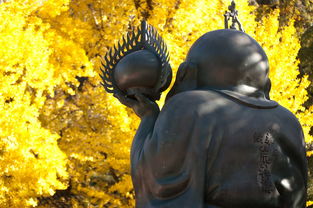 南京疫情蔓延，了解传播路径与防控措施