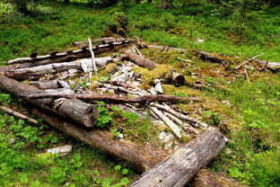 探索神秘之地，黑鞘森林的全面攻略