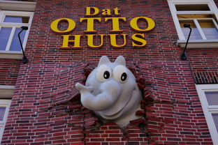 味蕾上的冒险，幽默风趣的旅游美食之旅