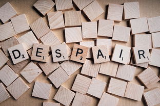 南京停课，疫情下的教育挑战与应对策略