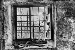 A Culinary Journey Through Hangzhou:Exploring the Delights of Chinese Gastronomy