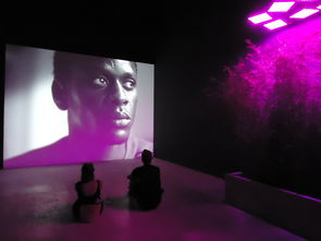 探索蜜蜂电影网，一个电影爱好者的乐园