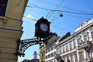 味蕾的指南针，美食推荐表的魔力