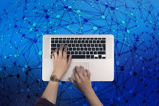 深度解析，如何计算增幅及其在不同领域的应用