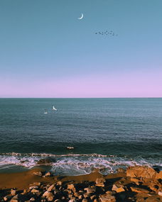 探索无尽沙海的璀璨明珠，深度体验额济纳自助游