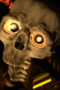 魔兽世界正史，艾泽拉斯的史诗之旅