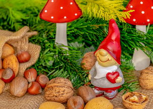 如何制作一份吸引人的美食推荐卡，模板与范文全攻略