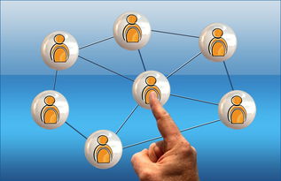 智能填报志愿，如何利用AI技术优化你的大学选择