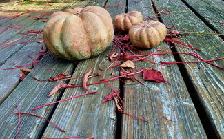 陕西疫情新动态，西安新增3例本土病例，防控措施升级