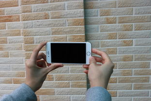 猎户座处理器，三星的芯片革命与智能手机的未来