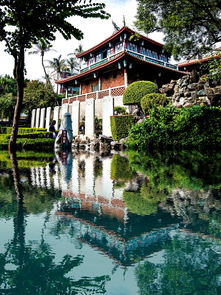 漫步杭州，西湖美景与文化之旅