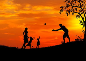 专家视角，曾光教授深入解析西安疫情的挑战与应对策略